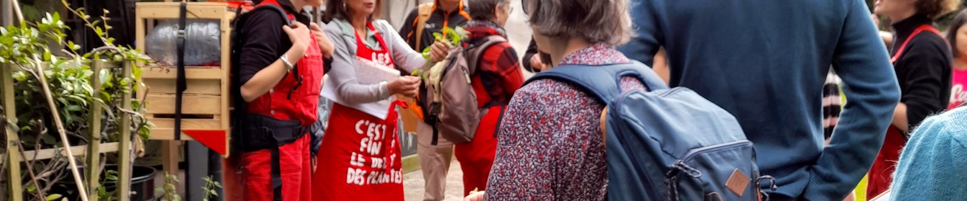 Groupe en promenade à déguster, écoutant les explications de cueilleuses