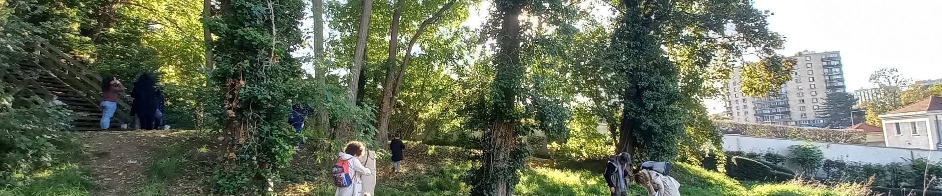 personne assises dans le sous bois de la mde