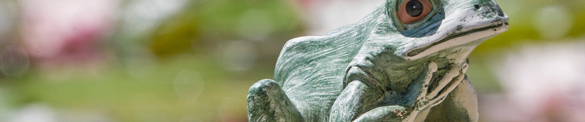 grenouille avec une couronne