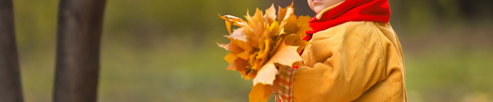 enfant tenant des feuilles dans ses mains