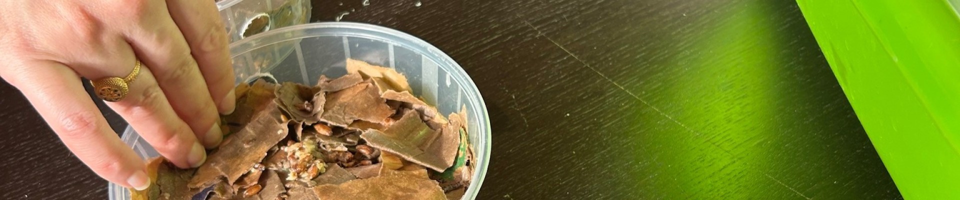 champignons dans une boite