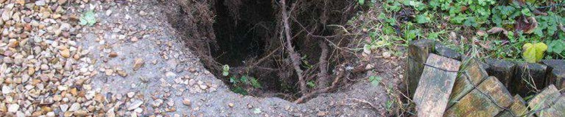 Fossé causé par un affaissement de terrain dans un jardin