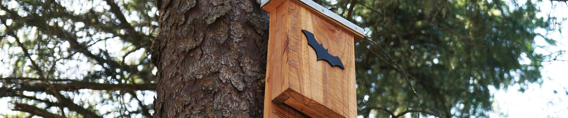 Abri à chauve-souris
