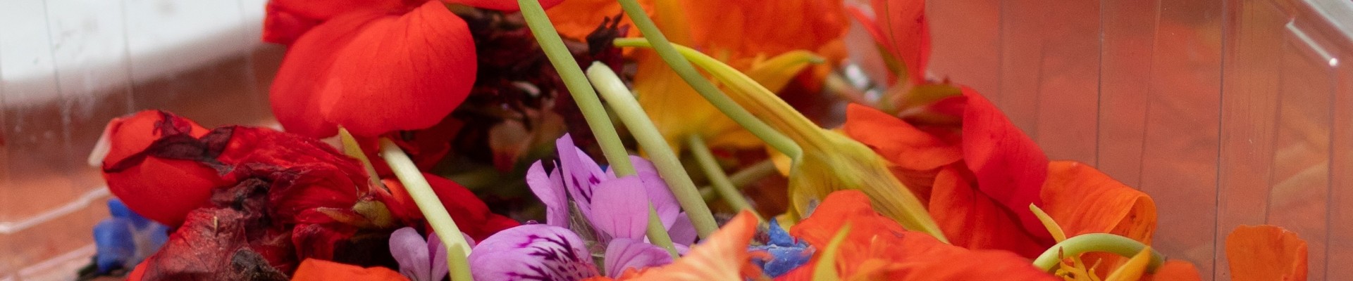 pot de fleurs coupés