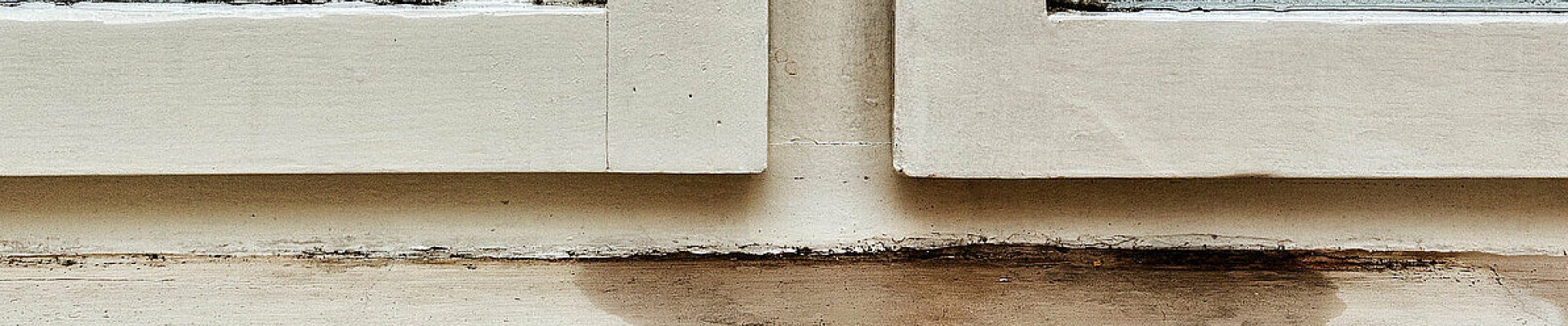 humidité et moisissure sous une fenêtre