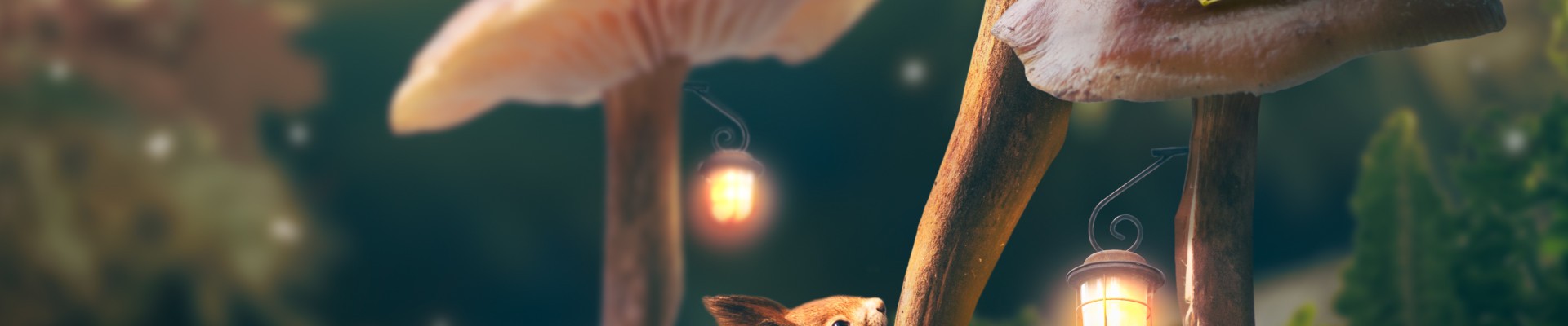 champignons et écureuils