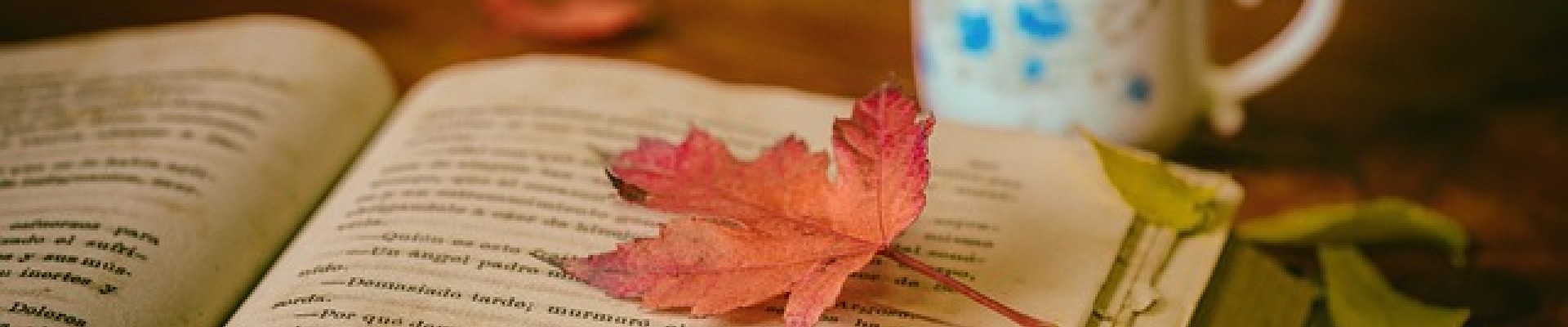livre ouvert avec une feuille dessus