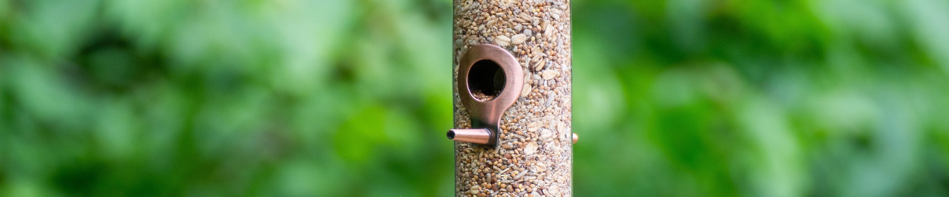 mésanges et moineaux sur un mangeoire