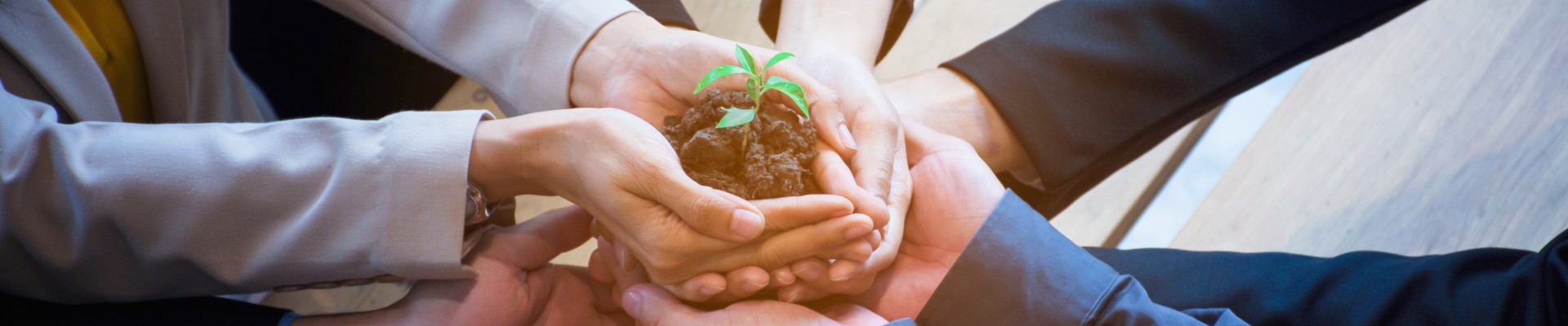 Une plante portée et protégée par de nombreuses mains