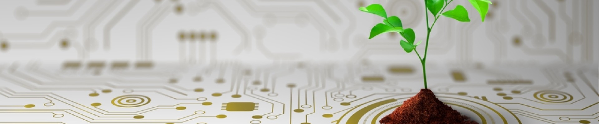 1 plante qui pousse sur des circuits imprimés