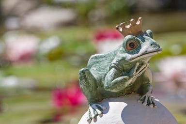 grenouille avec une couronne