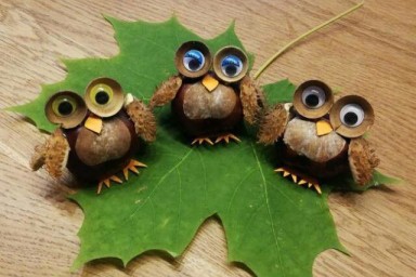 chouettes rigolotes