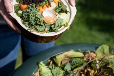 Mains déposant des épluchures dans un composteur