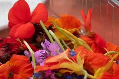 pot de fleurs coupés