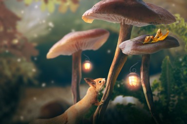 champignons et écureuils