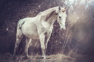représente une licorne blanche