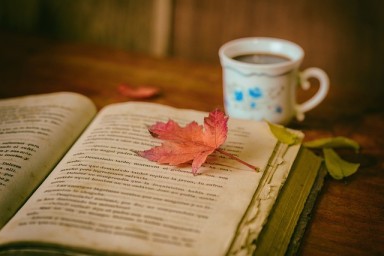 livre ouvert avec une feuille dessus