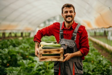 Fermier tenant une cagette de légumes dans une serre