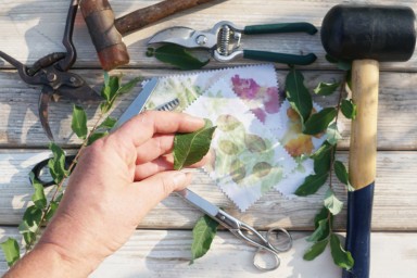 tissu, feuille et marteau