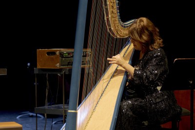 Harpiste - Enlarge image 38 of 40, modal window