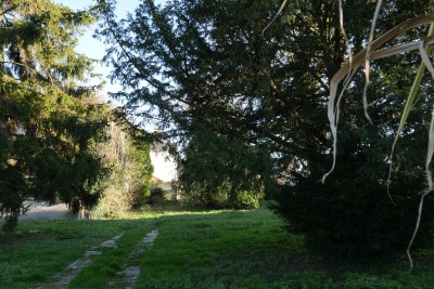 Agrandir l'image 11 sur 16, fenêtre modale