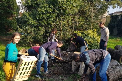 Agrandir l'image 7 sur 16, fenêtre modale