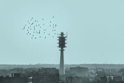 Agrandir l'image 1 sur 2, fenêtre modale