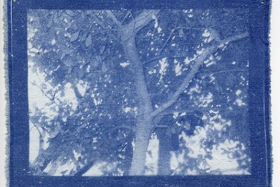 Agrandir l'image 1 sur 3, fenêtre modale