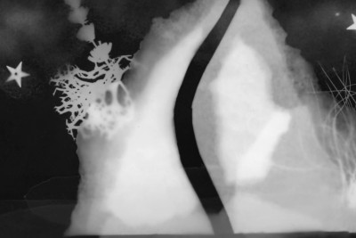 Agrandir l'image 2 sur 3, fenêtre modale