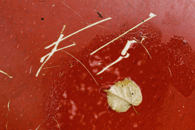 Agrandir l'image 13 sur 21, fenêtre modale