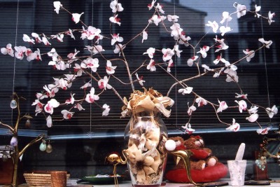 Agrandir l'image 15 sur 21, fenêtre modale