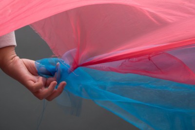 Agrandir l'image 5 sur 21, fenêtre modale