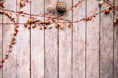 Agrandir l'image 17 sur 21, fenêtre modale