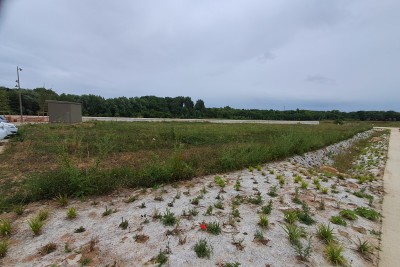 Agrandir l'image 5 sur 8, fenêtre modale