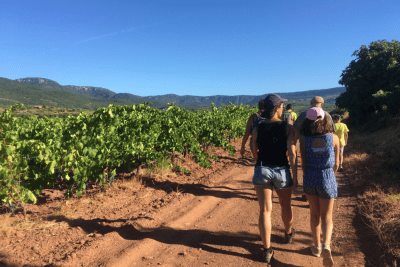 Agrandir l'image 5 sur 7, fenêtre modale