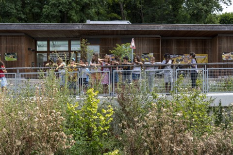 des enfants regardent la Bièvre, accoudés à une palissade, la Maison de l'Environnement en fond