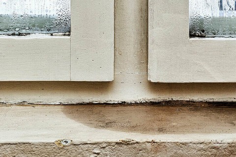 humidité et moisissure sous une fenêtre