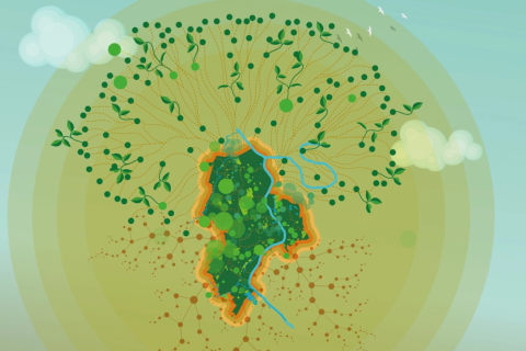 Dessin planète stylisé