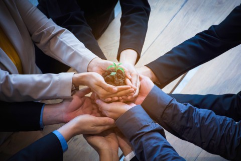 Une plante portée et protégée par de nombreuses mains