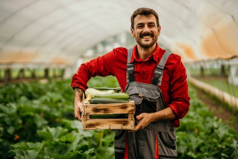 Fermier tenant une cagette de légumes dans une serre