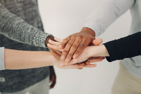 Mains jointes en signe de solidarité