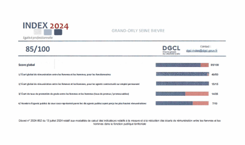 Ecart global de rémunération entre les femmes et les hommes : pour les fonctionnaires, 85/100 ; pour les contractuels, 49/50. Ecart de taux de promotion de grade entre les femmes et les hommes : 14/25 ; nombre d'agents publics du sexe sous-représenté parmi les 10 agents ayant perçu les plus hautes rémunérations : 7/10. Score global : 85/100 - Agrandir l'image, fenêtre modale