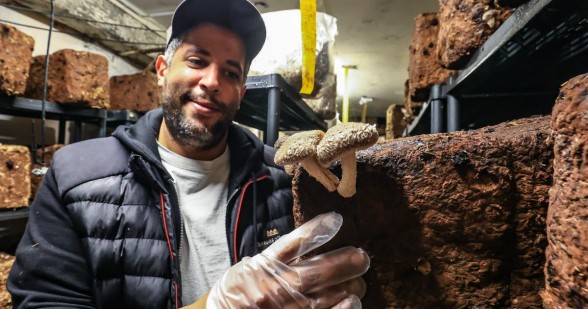 MUSHROOM FARMING - Agrandir l'image, fenêtre modale